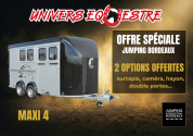 Promotion - van cheval liberte 4 places maxi 4
