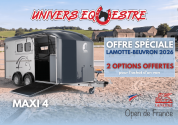 Van cheval liberte maxi 4- promotion