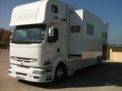 Camion pl chevaux