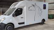 Camion chevaux aménagé cavalcar 2020