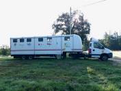 Camion iveco vl - semi remorque 5 chevaux vow