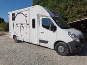 Camion chevaux vl