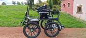 Voiture d attelage  glinkowski modèle ns 22295 1 cheval