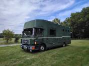 Camion chevaux man ❗nouveau numéro tel❗