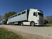 Semi-remorque chevaux 19 places en stalle